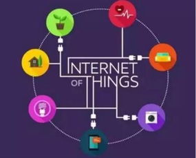 全球物聯(lián)網(wǎng)市場蓬勃發(fā)展，中國引領創(chuàng)新與實踐浪潮